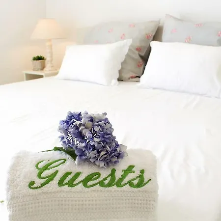 The Artist سانتا كروز