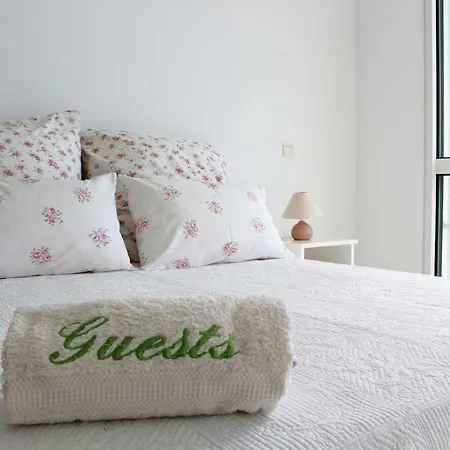 The Artist Santa Cruz (Madeira)