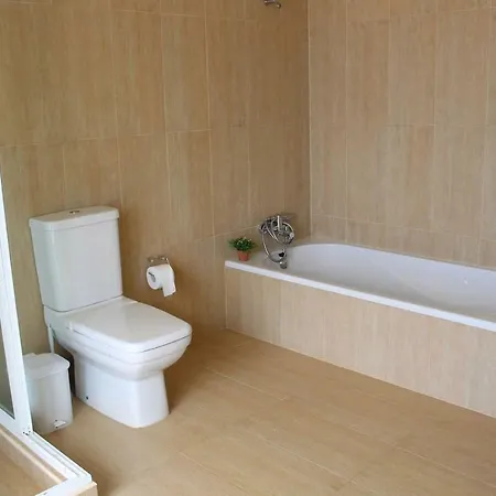 The Artist فيلة سانتا كروز