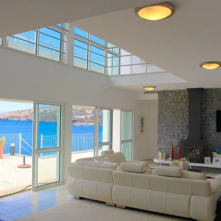 The Artist سانتا كروز